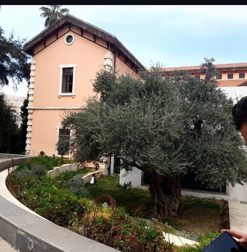 قانون 10% محاضرات خارجية؛ نحو منظومة أكاديمية تستثمر خبرات الأكاديميين في المهجر السوري